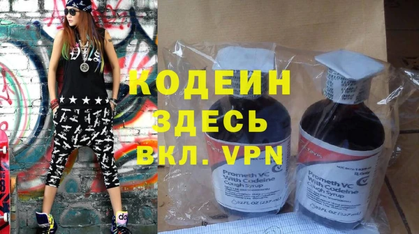 ГАЛЛЮЦИНОГЕННЫЕ ГРИБЫ Богданович